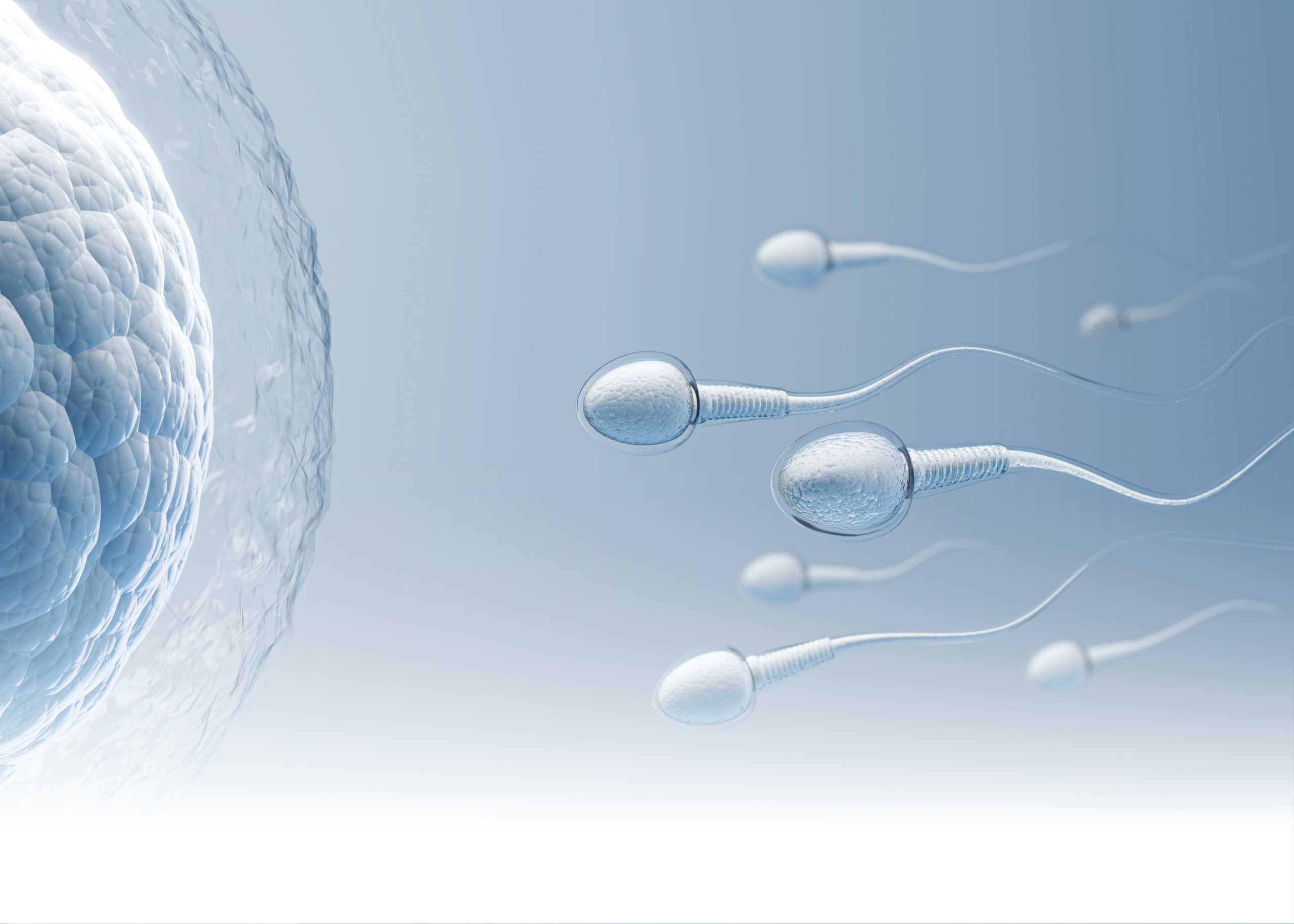 Top Signs You Need Fertility Testing and When to See a Specialist
