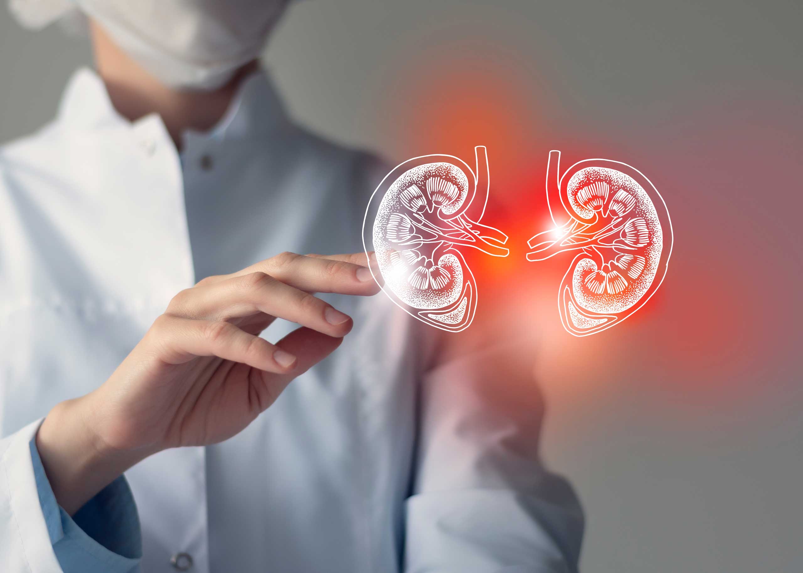 Preventing and Treating Pyelonephritis (Kidney Infection) Effectively